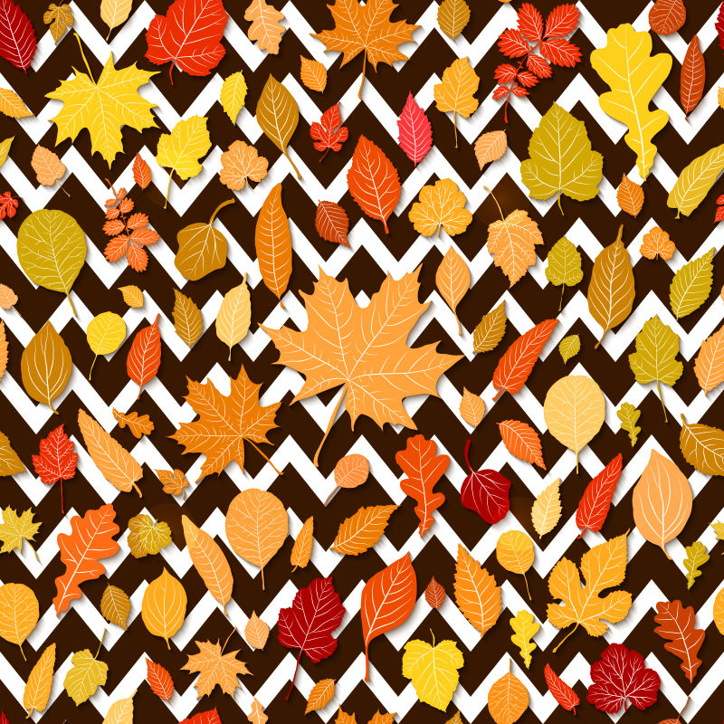 矢量的秋季树叶图案背景设计