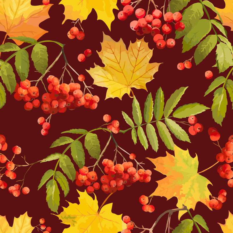 浆果和秋叶图案的矢量背景设计