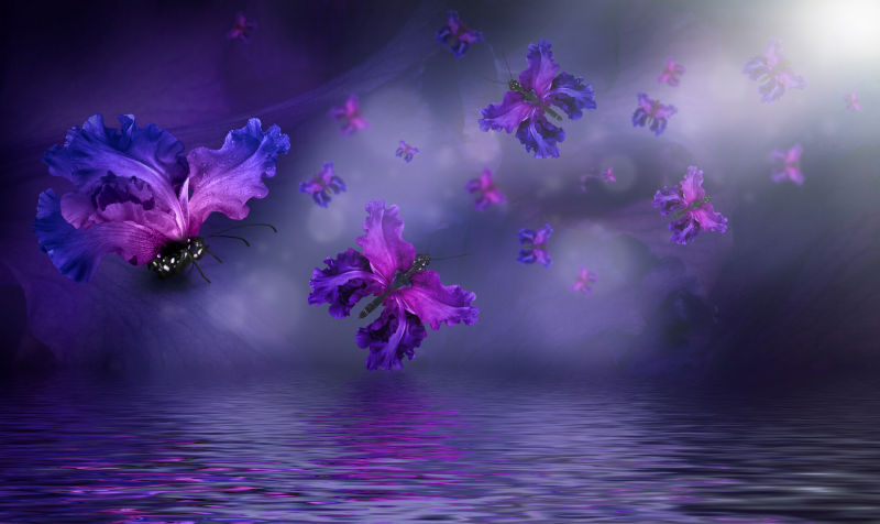 紫色背景上拥有渐变花朵翅膀的一群蝴蝶