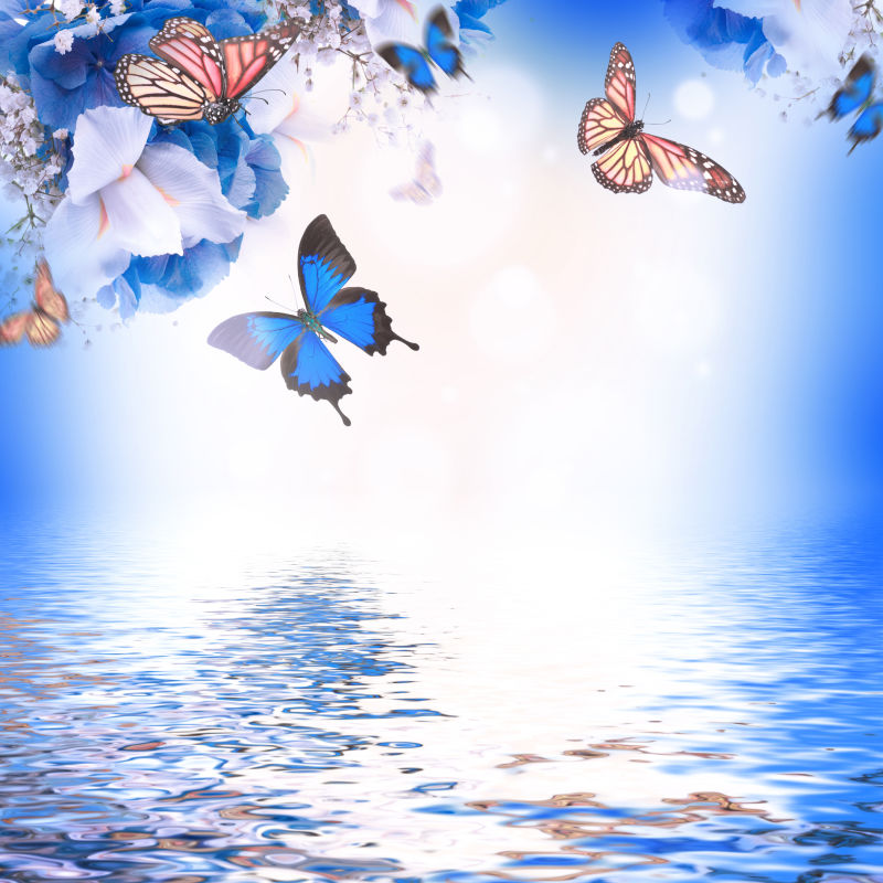 水波背景上的花朵和飞舞的蝴蝶