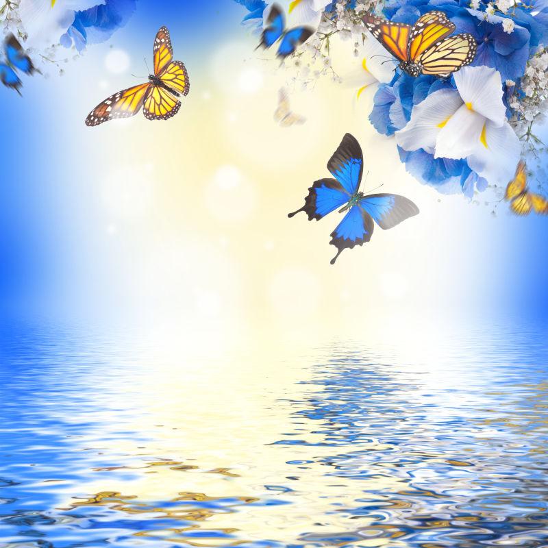 生气的蓝色鸢尾花和蝴蝶