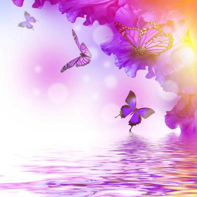 紫色花和蝴蝶