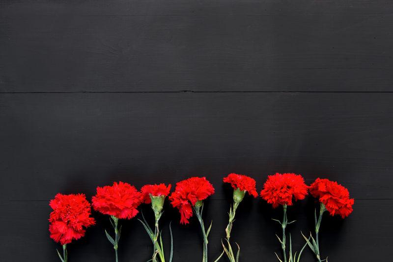 黑色背景下的红色康乃馨花朵