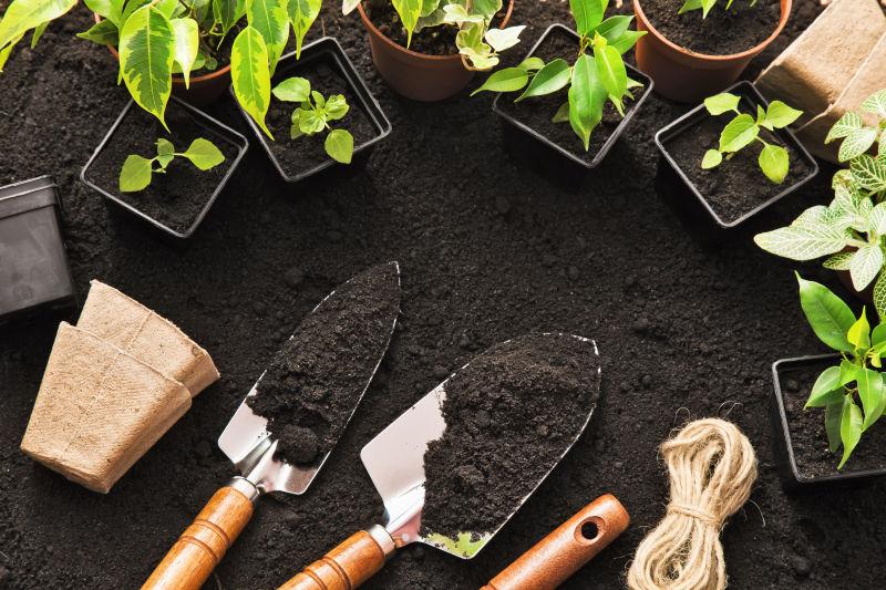 园艺工具和盆栽植物