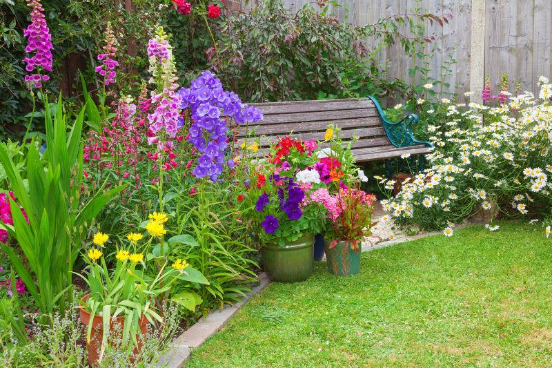 花园里的观赏花卉和木制长凳