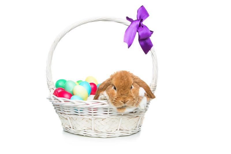 白色背景下篮子里的复活节彩蛋和小兔子