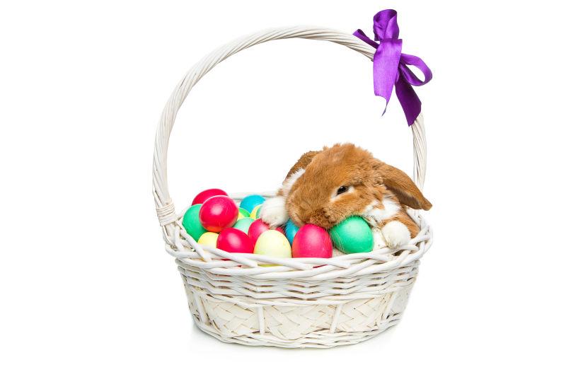 白色背景下篮子里的复活节彩蛋与兔子