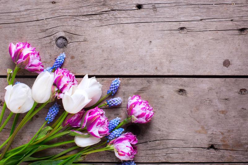 木板上的美丽郁金香和麝香花