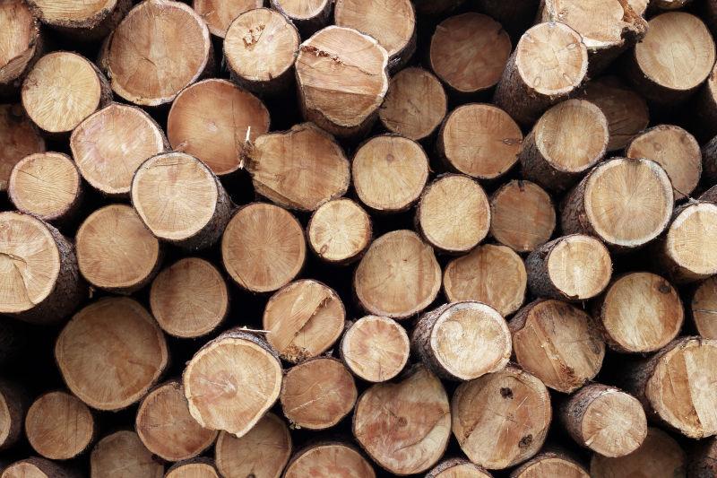 木材工厂里整齐的木头