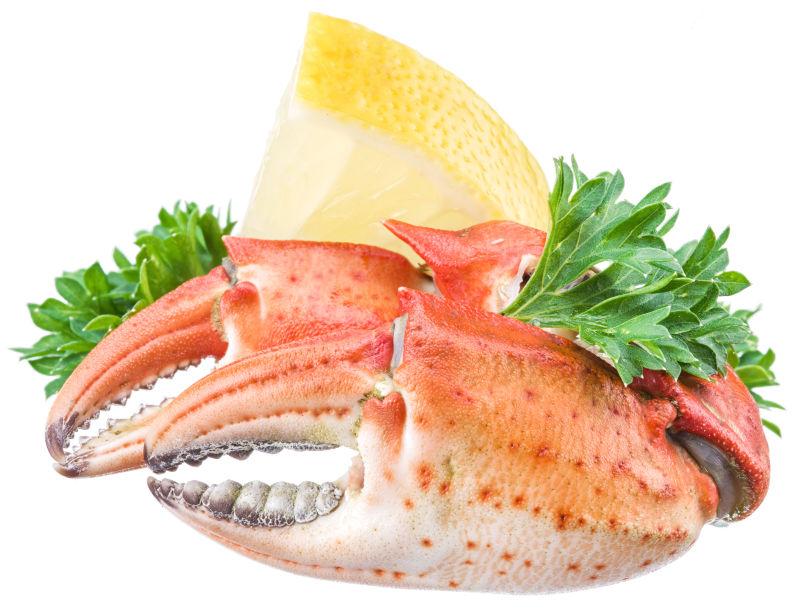 煮熟的螃蟹爪与柠檬和草本植物的白色背景