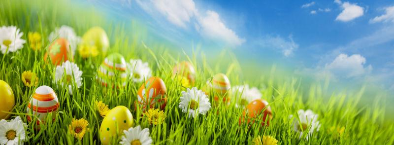 蓝天下有小花的草地里的复活节彩蛋