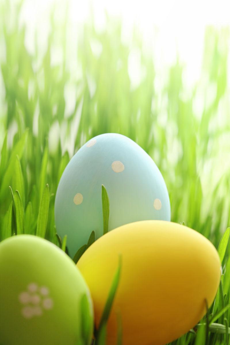 阳光下草丛里的复活节彩蛋
