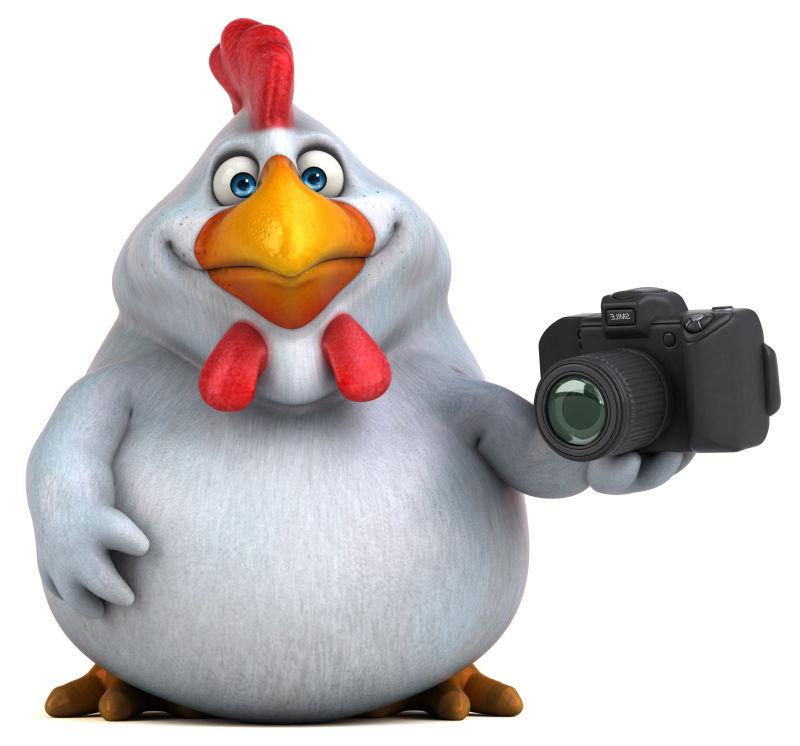 可爱的公鸡举着照相机