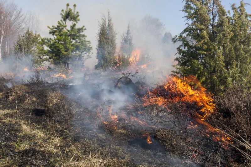 罗马尼亚阿普塞尼山脉干涸森林火灾