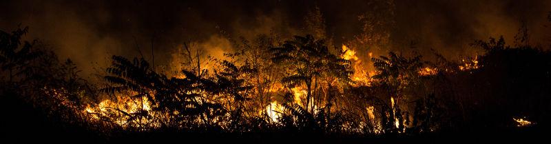 夜晚正在燃烧的森林火灾