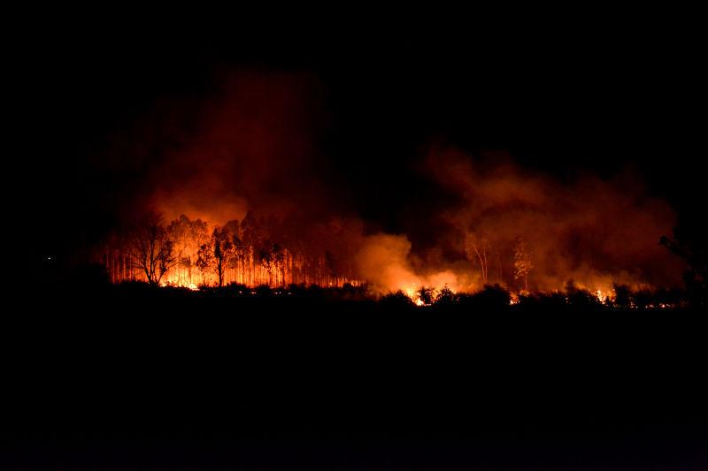 黑夜里的森林大火