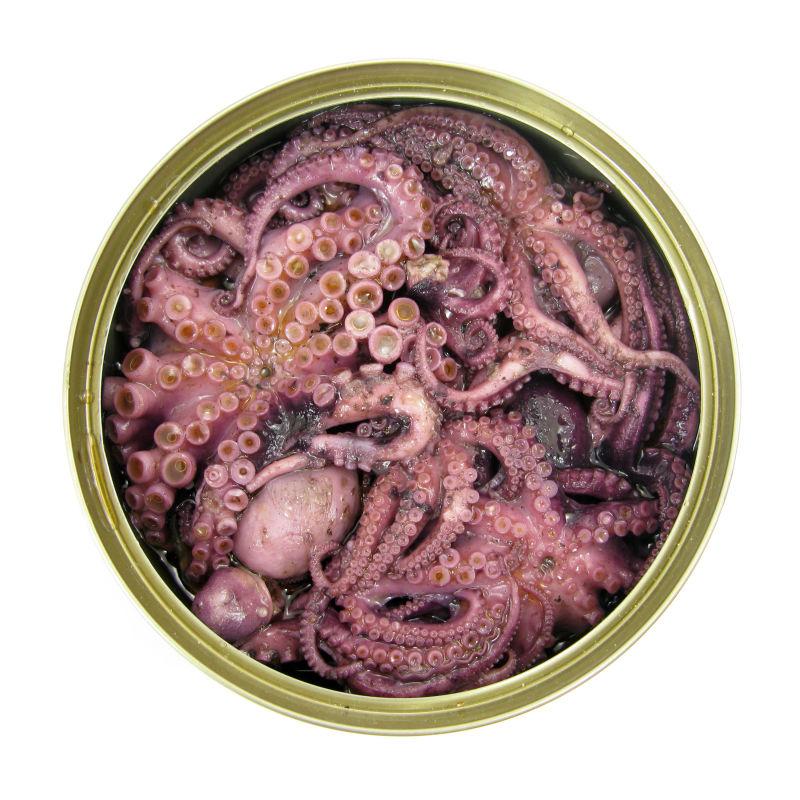 章鱼海鲜紫砂罐头