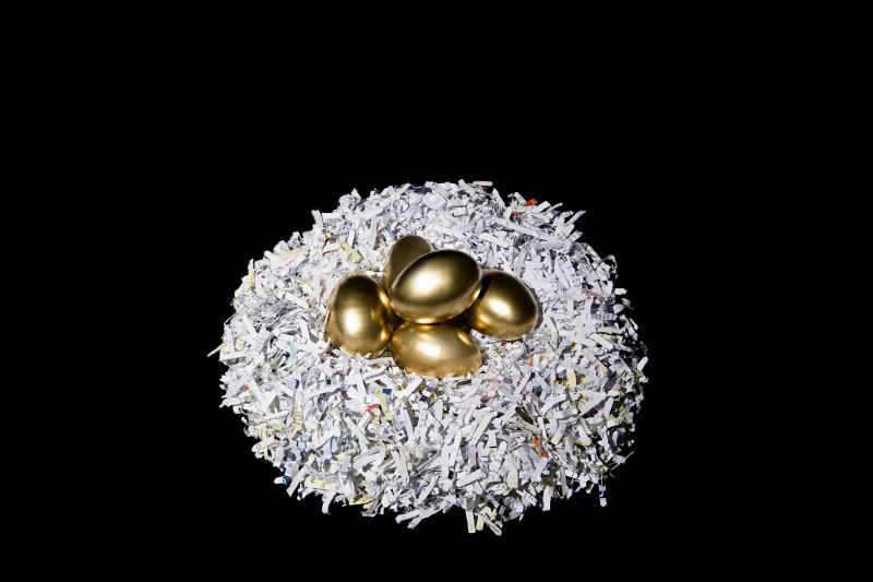 碎纸巢里的金蛋