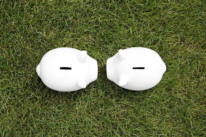 草地上的两个白色小猪储钱罐