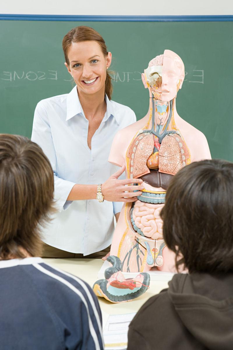 给学生讲解解剖学的老师