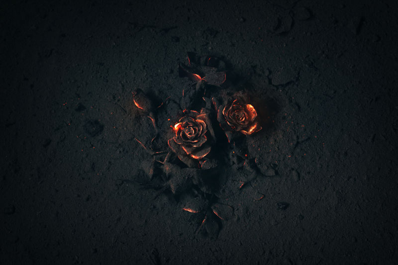 黑暗中燃烧的玫瑰花