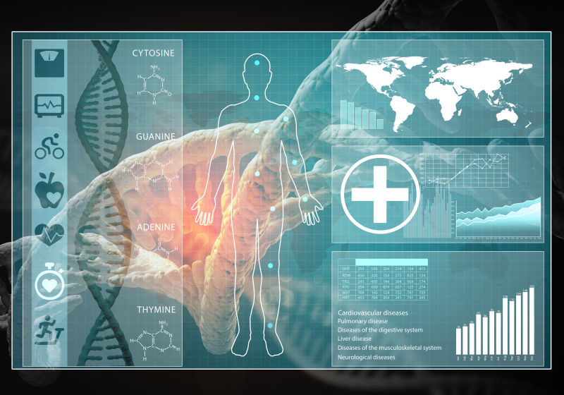 人体身体中的DNA研究的概念
