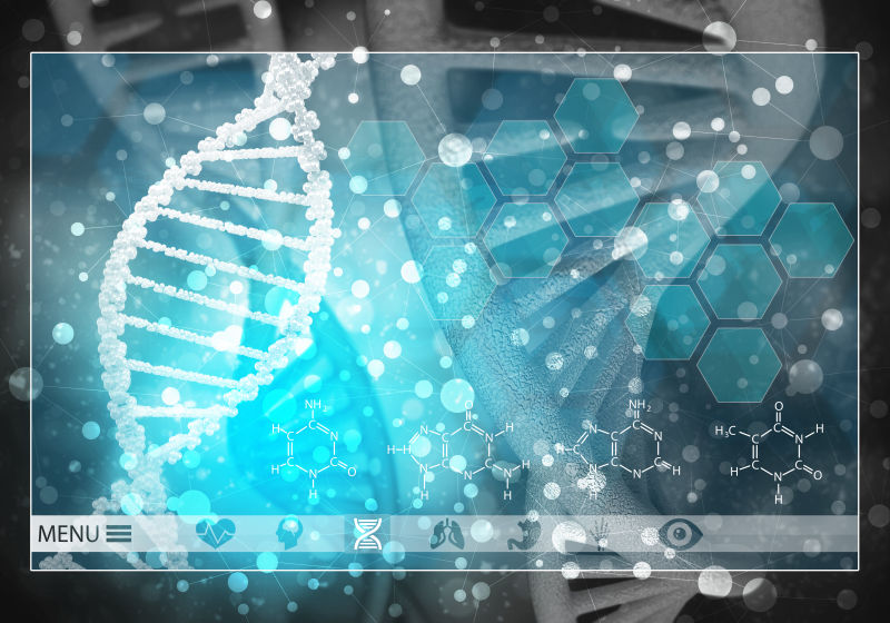 研究医学人体器官DNA三维绘制