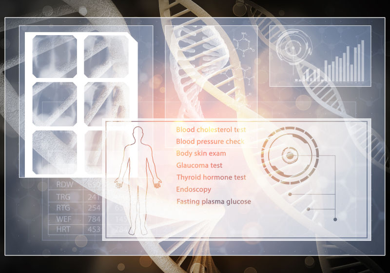器官的DNA研究概念