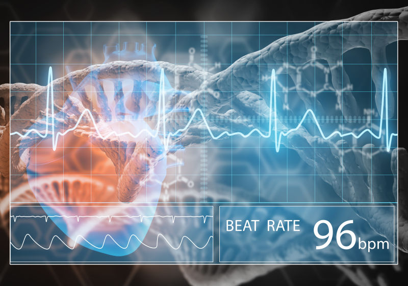 人体心脏的DNA概念与心电图