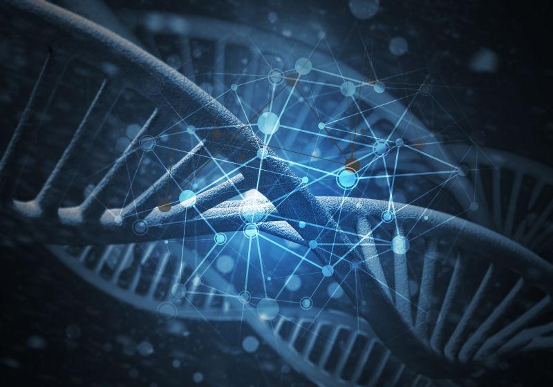 三维绘制DNA概念