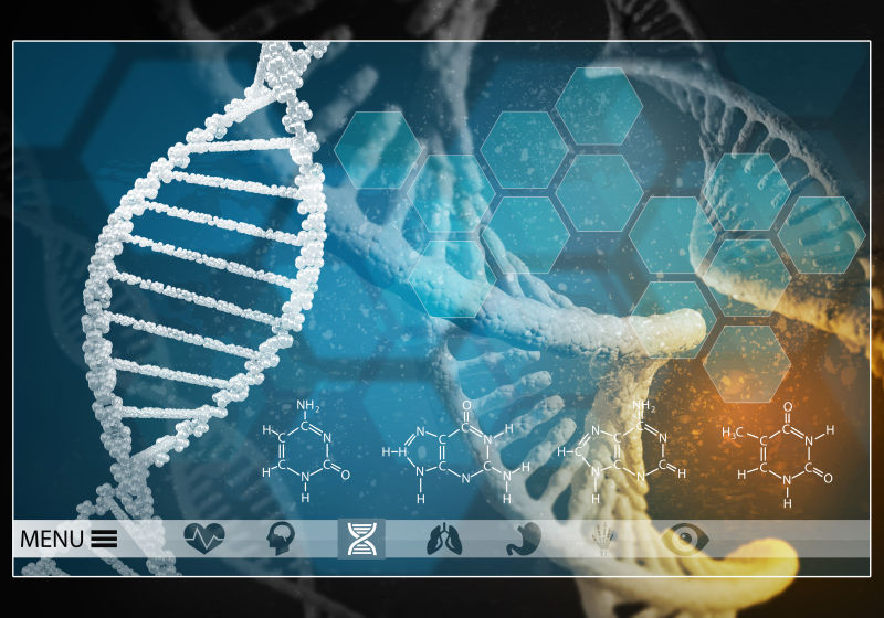 医学背景DNA研究的概念