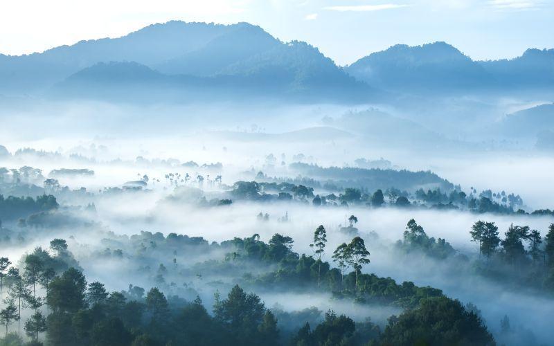 山顶上朦胧的山峦森林