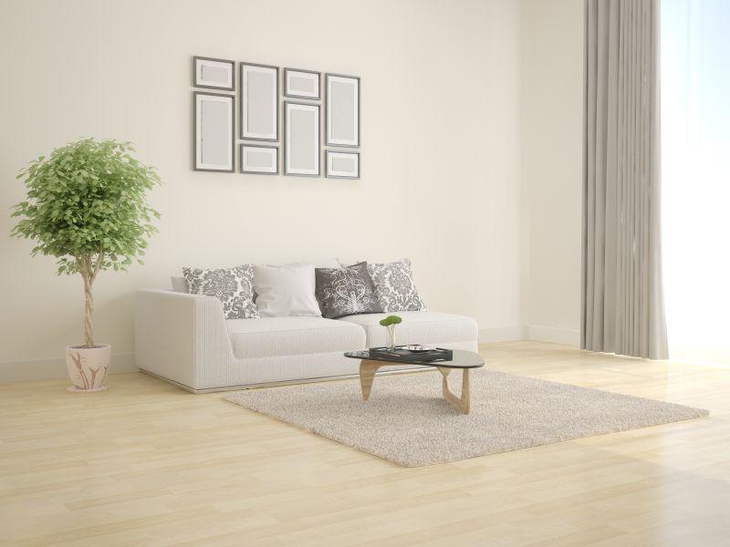 时尚的现代客厅和白色的沙发