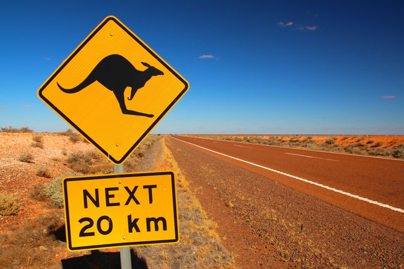 澳大利亚公路上的动物路标