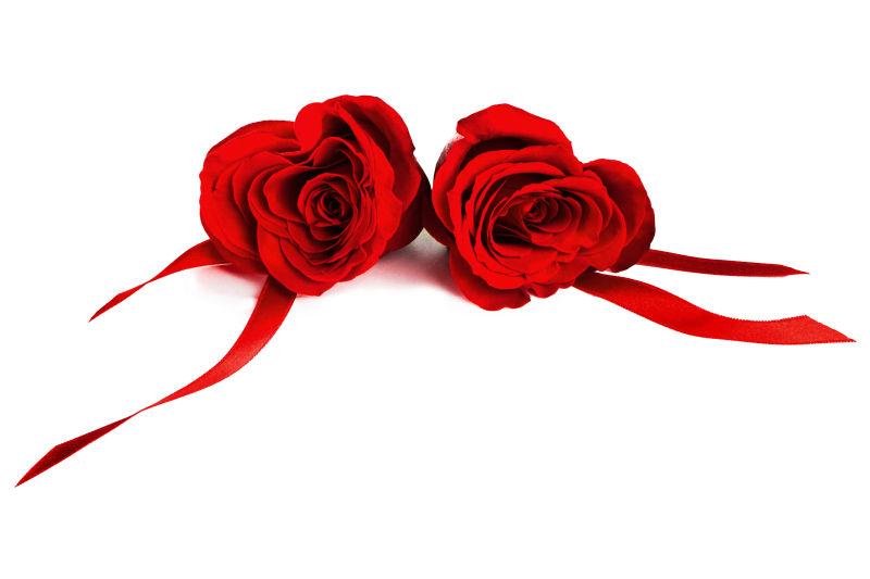 两朵美丽的红色玫瑰