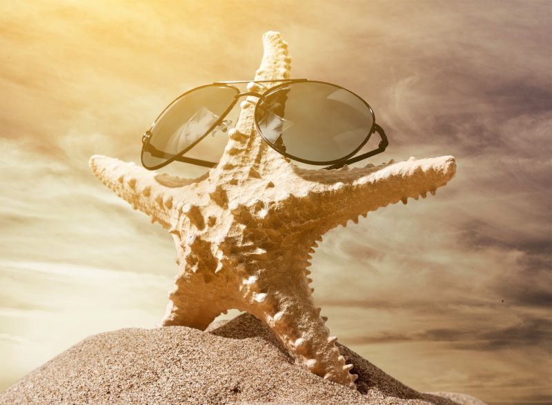夏日沙滩上的海星戴着墨镜