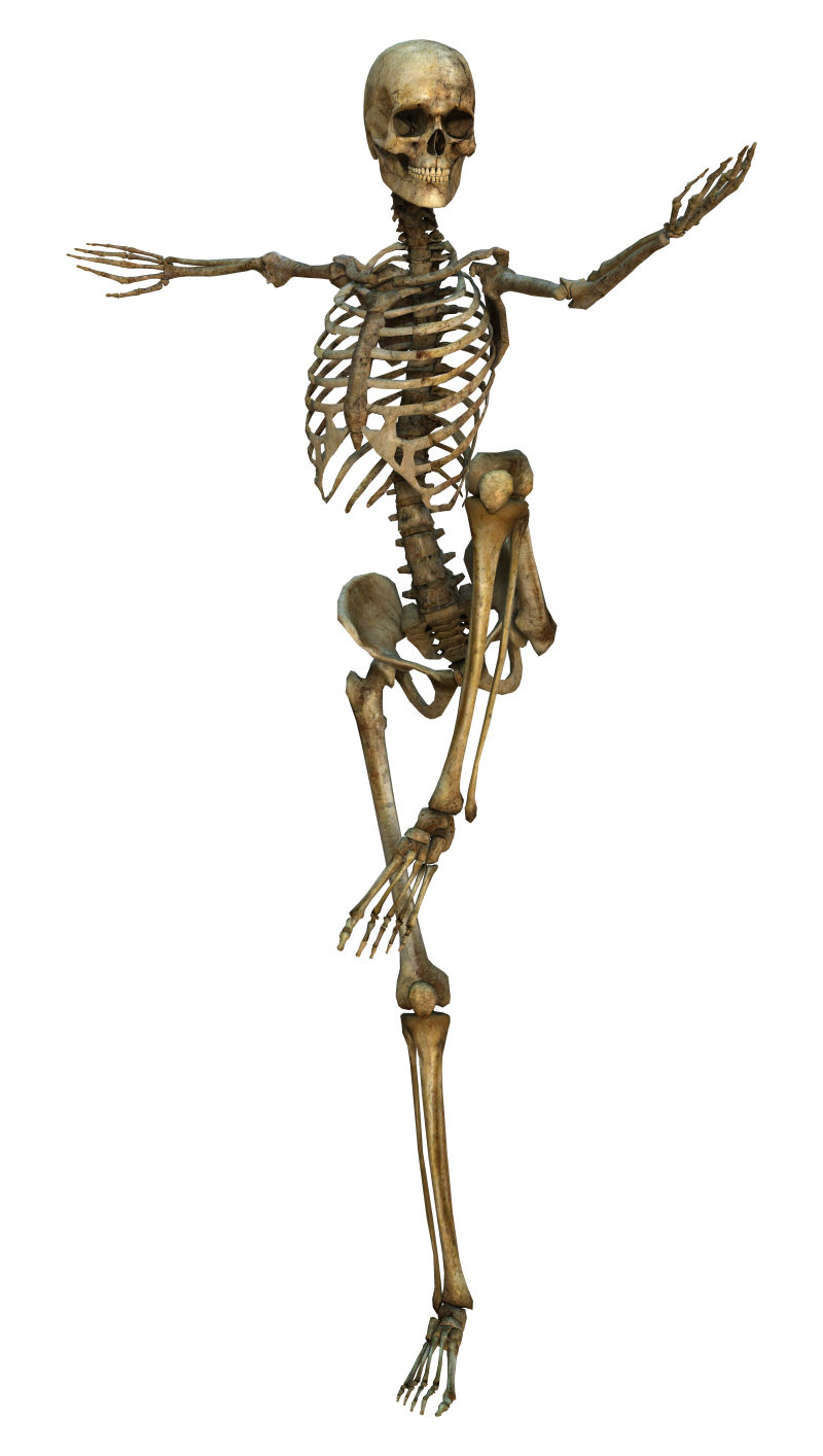 白色背景单脚站立的人体骨骼