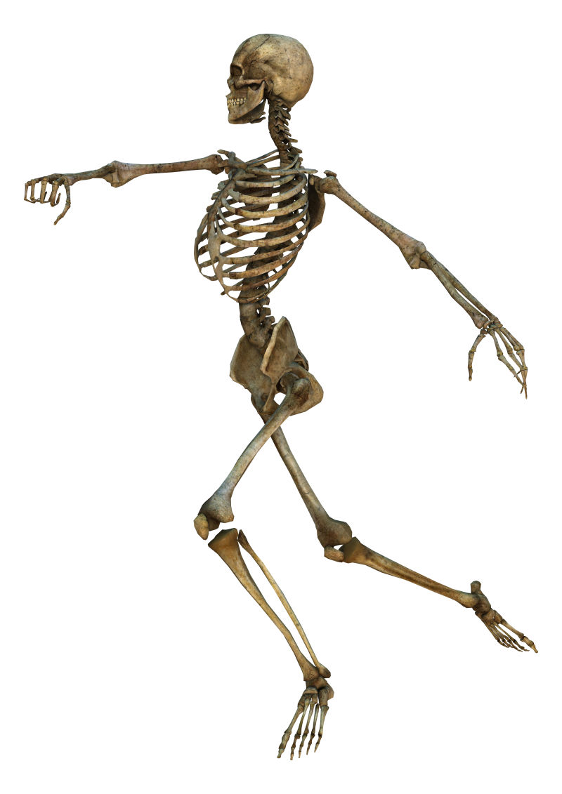 白色背景跳舞姿势的人体骨骼