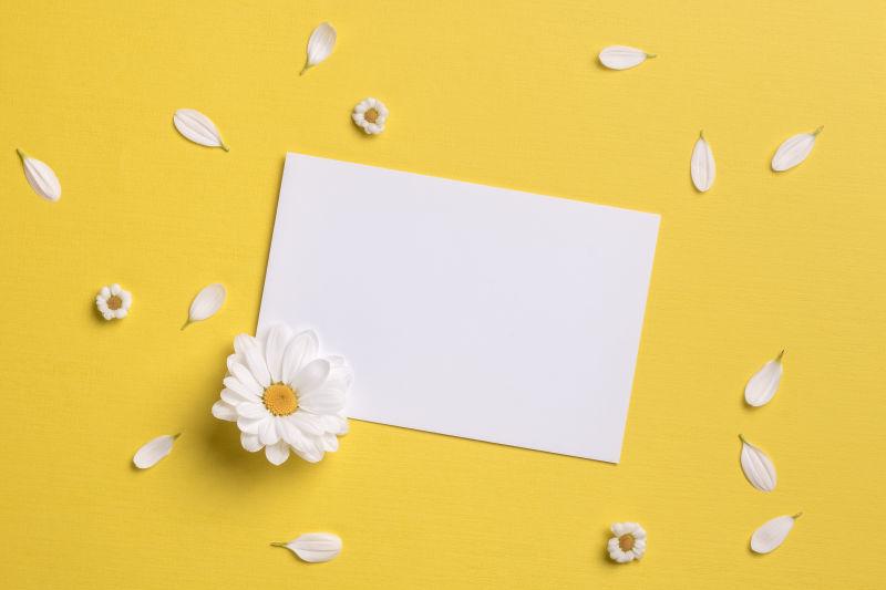 黄色背景上的花瓣花朵和卡片