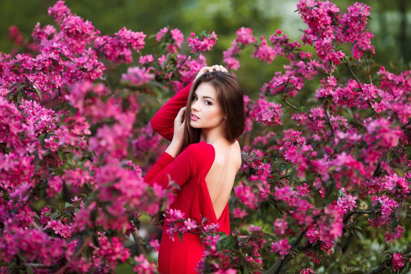 站在粉色开满花的树中的性感女子