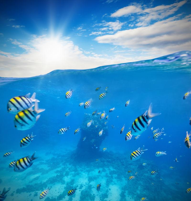 水下珊瑚礁的水下视界和水面劈开
