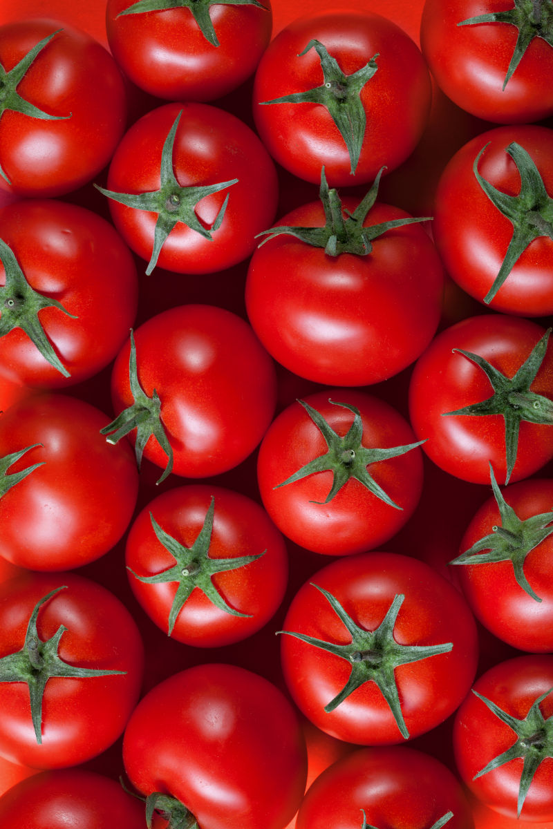成熟的西红柿