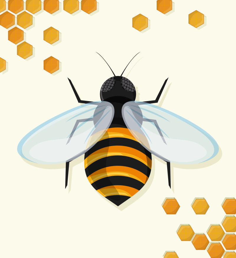 矢量平面的蜜蜂插图