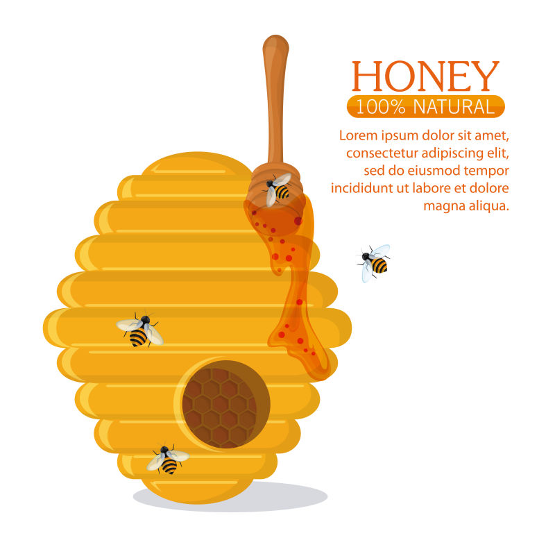 抽象矢量新鲜的有机蜂蜜平面插图