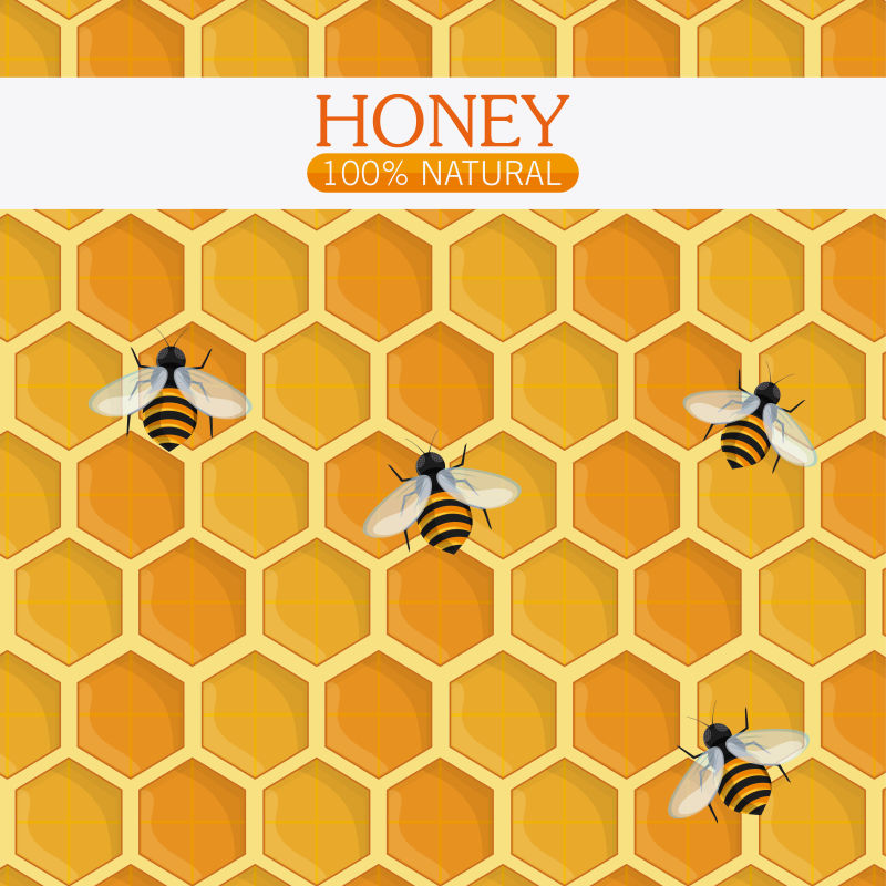 矢量蜂巢中的蜜蜂插图