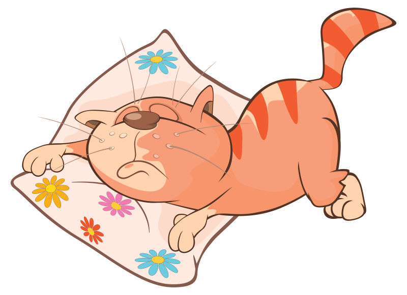 矢量趴在枕头上的卡通猫咪
