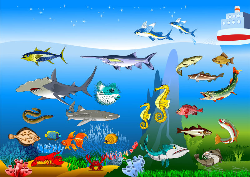 抽象矢量海下的动物插图