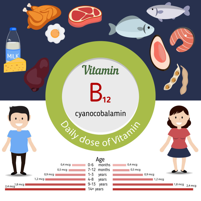 富含维生素B12的食物矢量插图