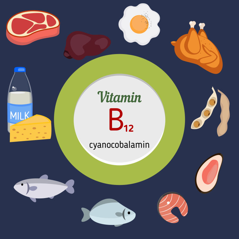 富含维生素B12的食品矢量插图