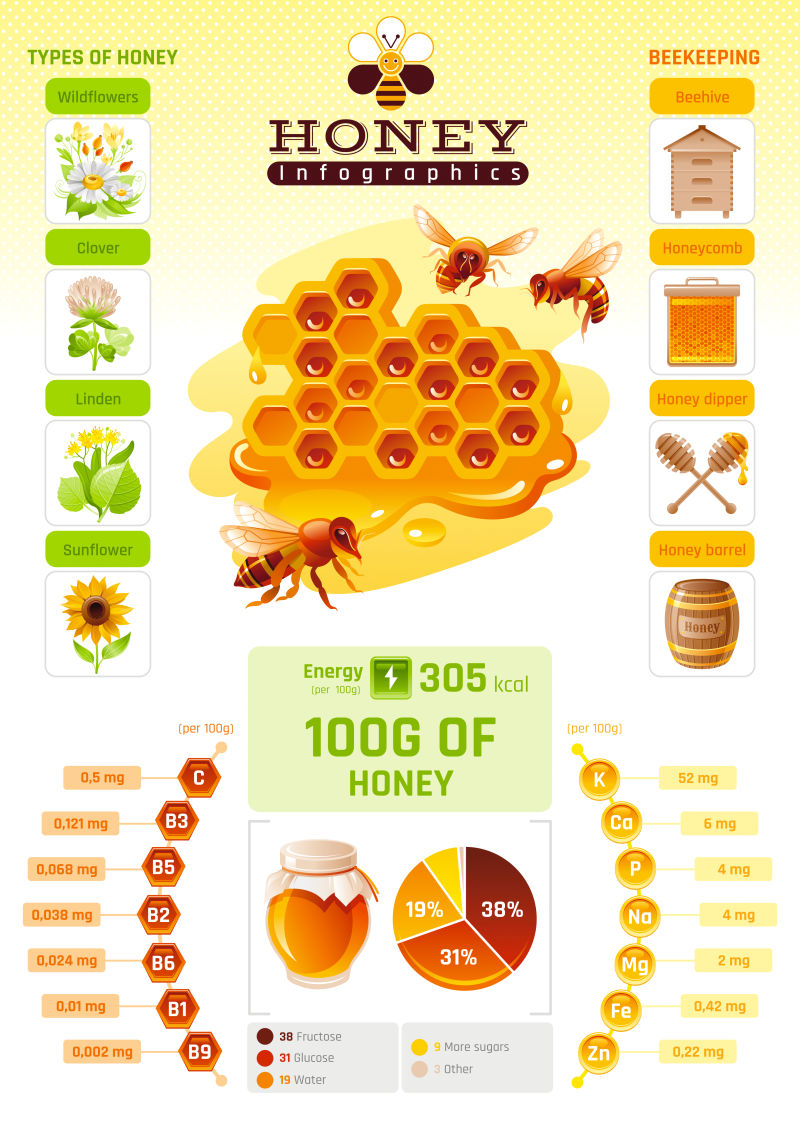 创意矢量蜂蜜信息创意图表